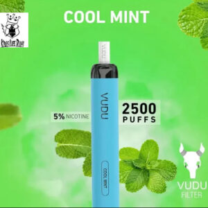 VUDU Filter Cool Mint 2500pfs