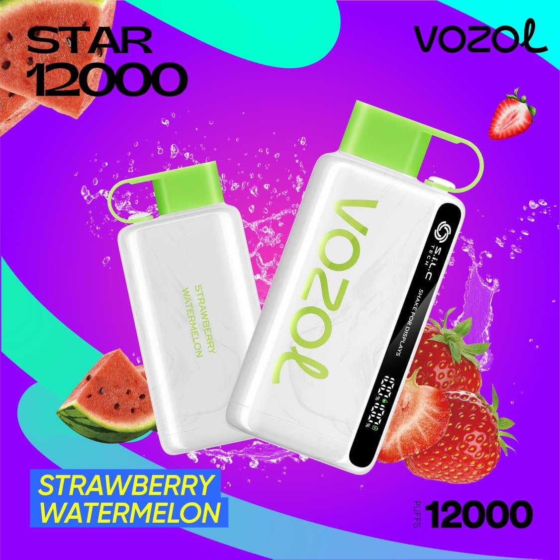 VOZOL STAR Strawberry Watermelon 12000pfs 5%