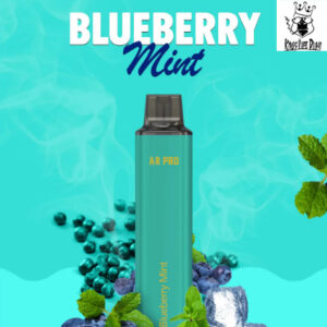 Arabisk Blueberry Mint 4000pfs