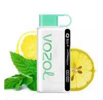 VOZOL STAR Lemon Mint 12000pfs 5%