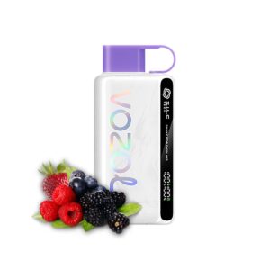 VOZOL STAR Mixed Berries 12000pfs 5%